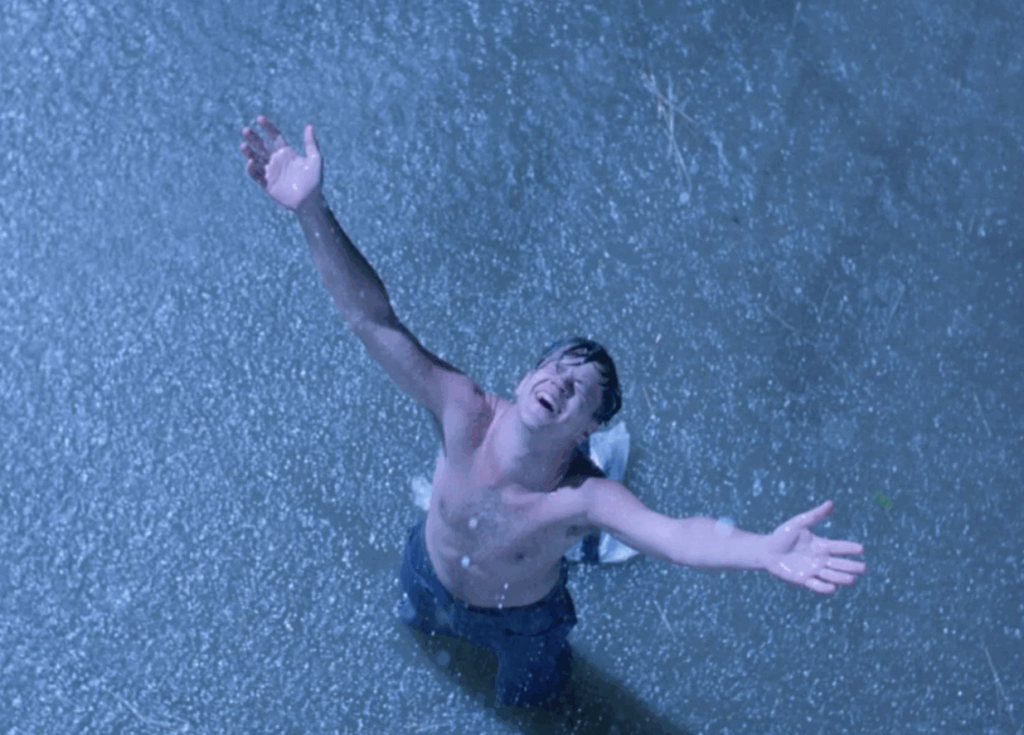 영화 쇼생크탈출 명장면, 주인공 앤디가 교도소를 탈출한후 빗속에서 자유를 만끽하는 장면