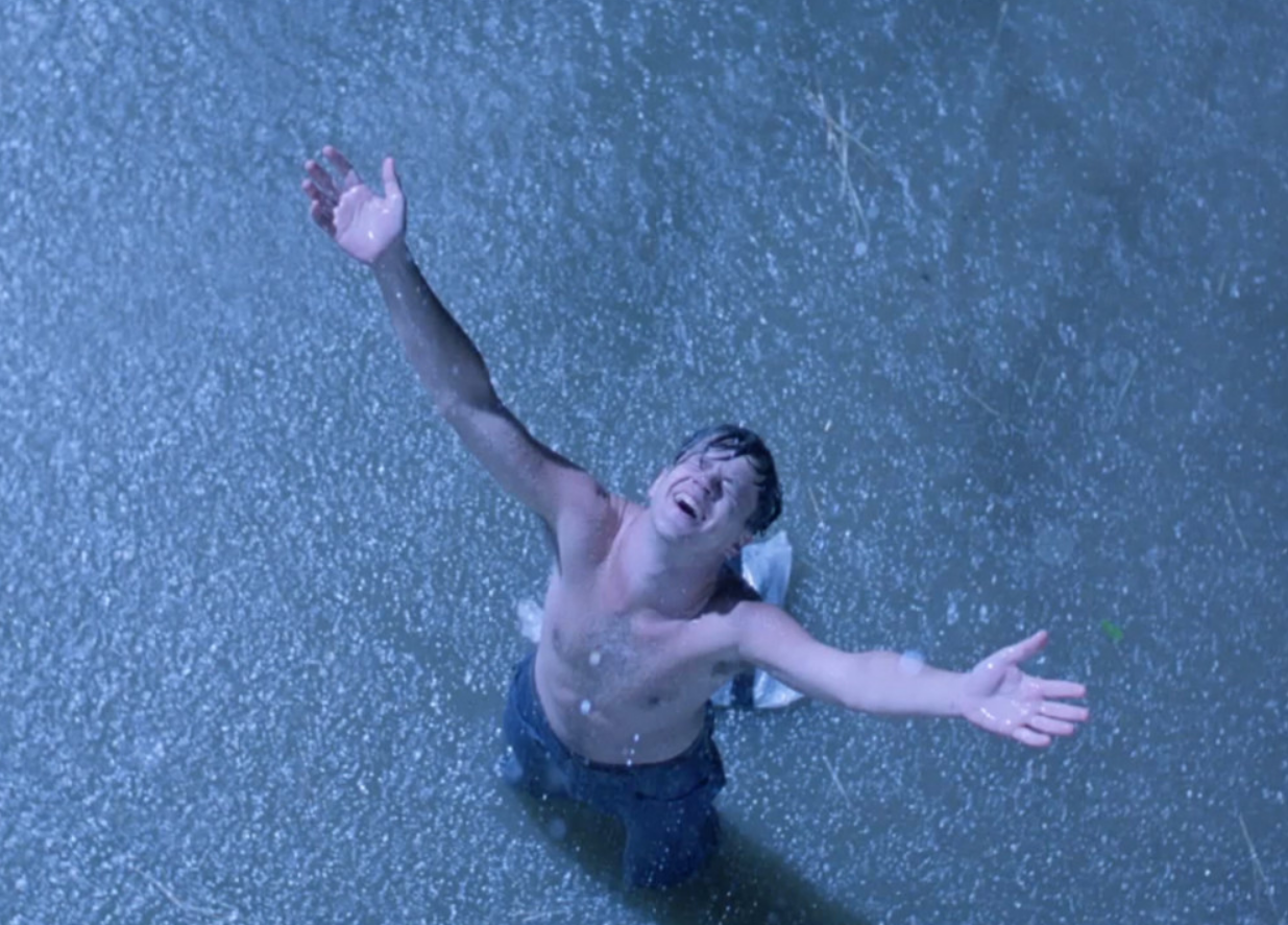 영화 쇼생크탈출 명장면, 주인공 앤디가 교도소를 탈출한후 빗속에서 자유를 만끽하는 장면